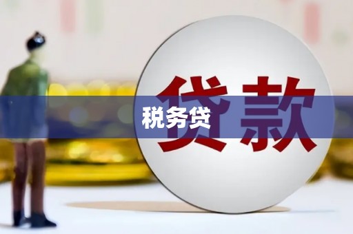 嘉峪关税务贷