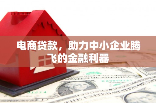 临沭电商贷款，助力中小企业腾飞的金融利器