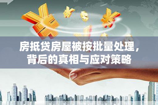 兰坪房抵贷房屋被按批量处理，背后的真相与应对策略