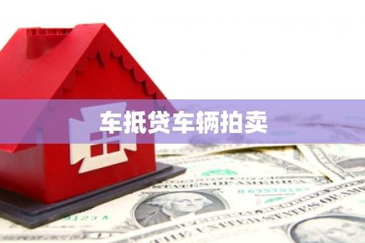 马龙车抵贷车辆拍卖